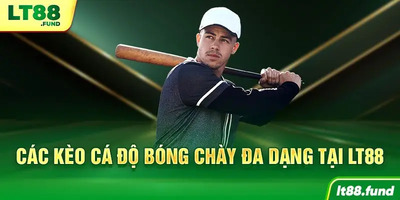 Các kèo cá độ bóng chày đa dạng tại LT88