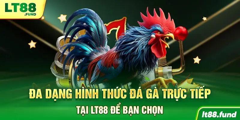 Đa dạng hình thức đá gà trực tiếp tại LT88 để bạn chọn
