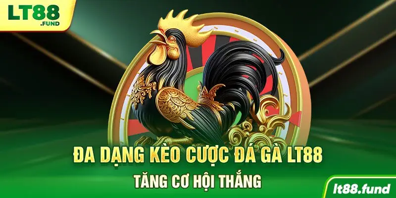 Đa dạng kèo cược đá gà LT88, tăng cơ hội thắng