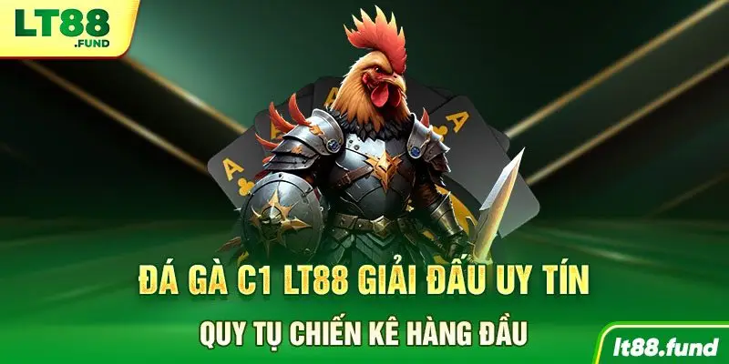 Đá gà C1 LT88 giải đấu uy tín, quy tụ chiến kê hàng đầu