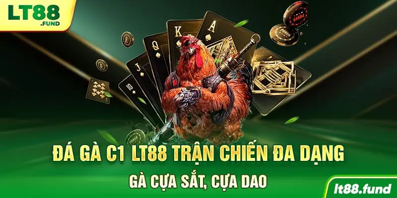 Đá gà C1 LT88 trận chiến đa dạng gà cựa sắt, cựa dao