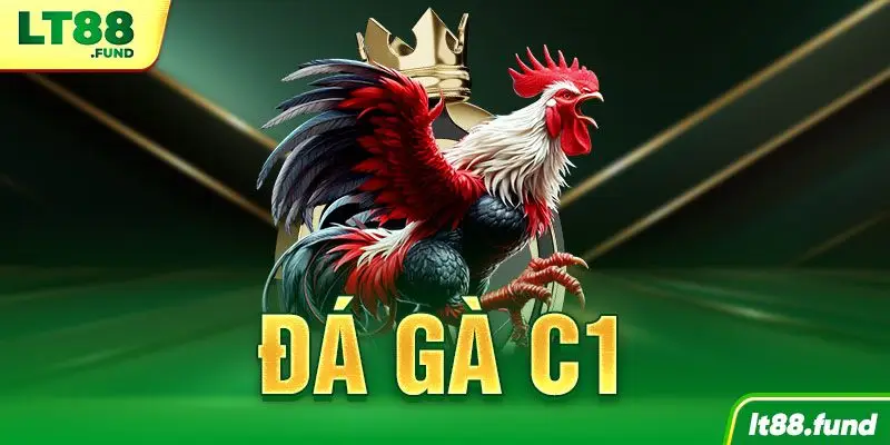 Đá Gà C1 LT88: Đấu trường kê chiến đỉnh cao 2025