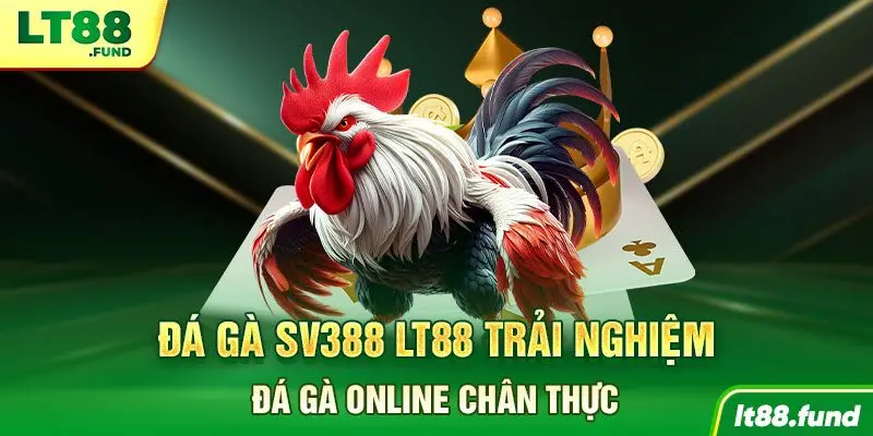 Đá gà SV388 LT88 trải nghiệm đá gà online chân thực