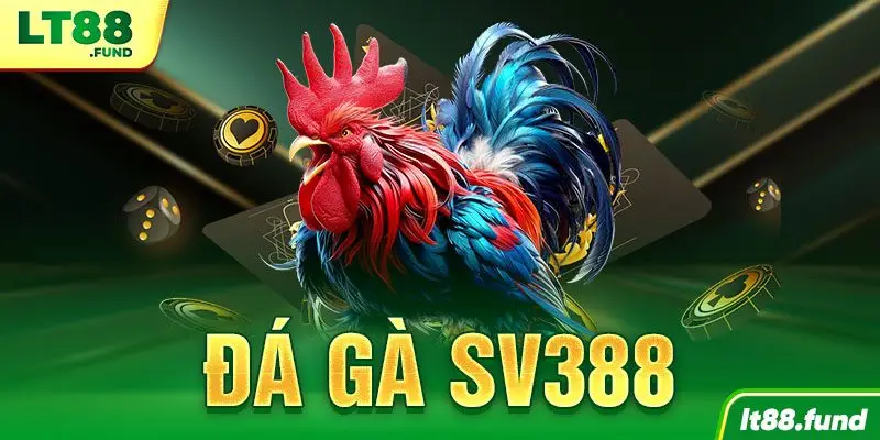 Đá Gà SV388 LT88: Trận đấu kê chiến không thể bỏ lỡ