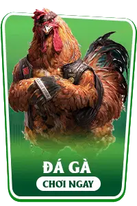 Đá Gà LT88