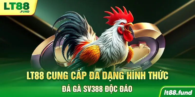LT88 cung cấp đa dạng hình thức đá gà SV388 độc đáo