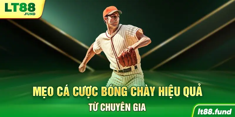 Mẹo cá cược bóng chày hiệu quả từ chuyên gia
