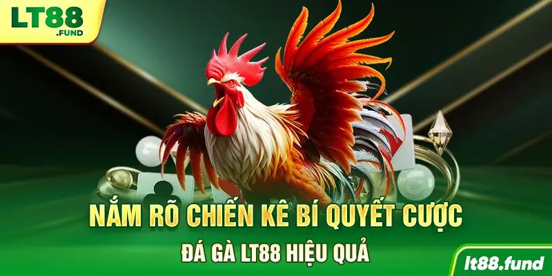 Nắm rõ chiến kê bí quyết cược đá gà LT88 hiệu quả