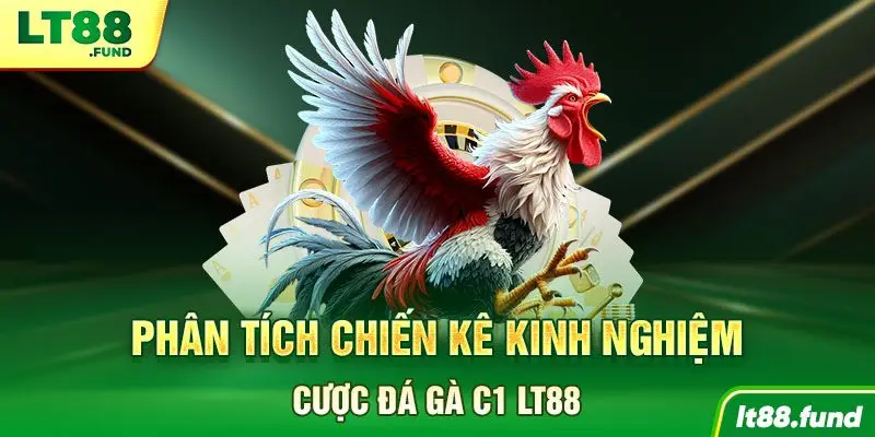 Phân tích chiến kê kinh nghiệm cược đá gà C1 LT88